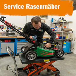 1256193 - Rasenmäher-Service